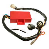 Wild Boar - Wild Boar High Performance CDI - IYA6025