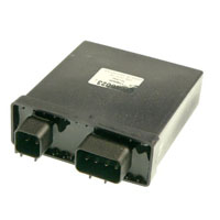 Wild Boar - Wild Boar High Performance CDI - IYA6023