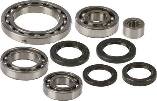 All Balls - All Balls Differential Bearing and Seal Kit - 25-2064