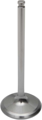 Del West - Del West Titanium Intake Valve - DW-YZ250F-IV14