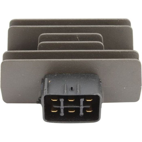 Wild Boar - Wild Boar Regulator - 230-58142