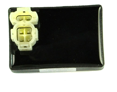 RM Stator - RM Stator CDI Box - RM02101