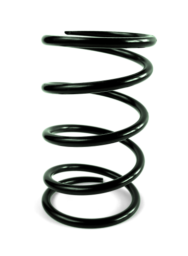 EPI - EPI Secondary Driven Clutch Spring - Green - QRS4