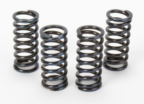 Pro-X - Pro-X Clutch Springs Set - 17.CS24036