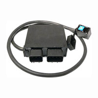 Wild Boar - Wild Boar Racing CDI - IHA6035