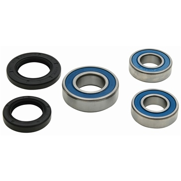 All Balls - All Balls Wheel Bearing and Seal Kit - 25-1810