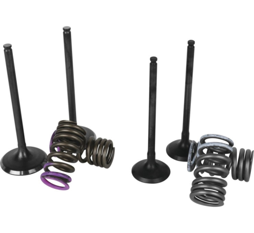 Wiseco - Wiseco Garage Buddy Valve Set - SVKB3406