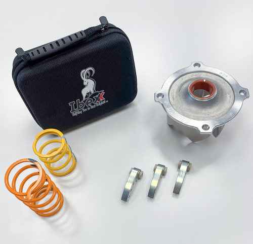 Ibexx - Ibexx Stage 2 Clutch Kit - 12742-21