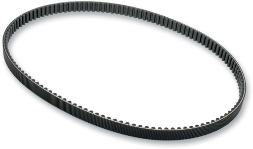 Belt Drives Ltd - Belt Drives Ltd 1-1/8in. Rear Drive Belt - 125T - PCCB-125-118