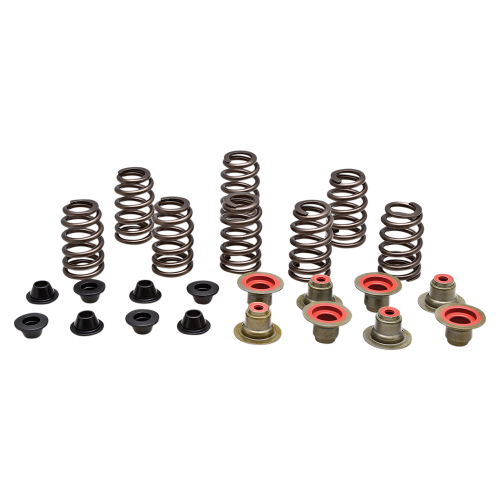 Kibblewhite Precision - Kibblewhite Precision Valve Spring Kit - 82-82550