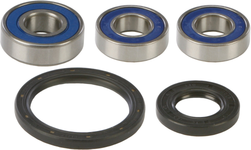 All Balls - All Balls Wheel Bearing and Seal Kit - 25-1098