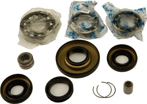 All Balls - All Balls Differential Bearing and Seal Kit - 25-2006