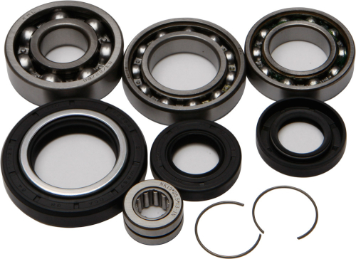 All Balls - All Balls Differential Bearing and Seal Kit - 25-2002
