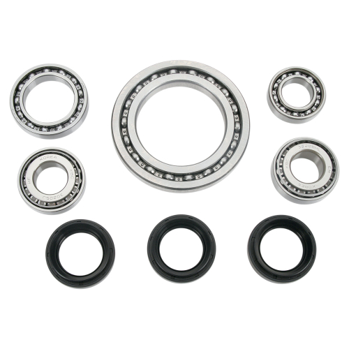 All Balls - All Balls Differential Bearing and Seal Kit - 25-2022