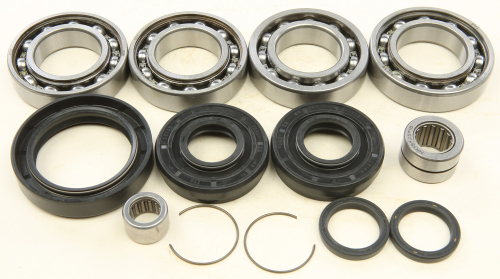 All Balls - All Balls Differential Bearing and Seal Kit - 25-2100