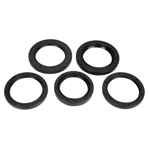 All Balls - All Balls Differential Seal Only Kit - 25-2062-5