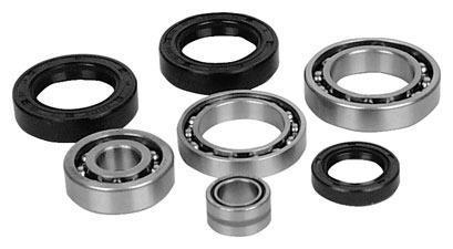 All Balls - All Balls Differential Bearing and Seal Kit - 25-2140