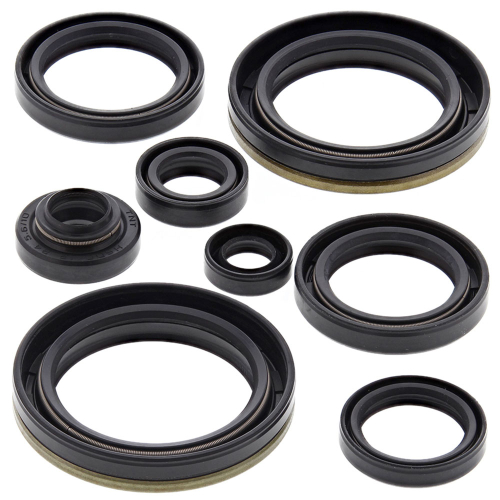 Vertex - Vertex Oil Seal Kit - 822132
