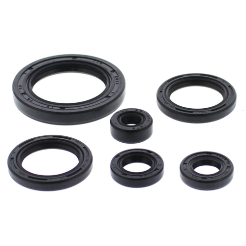 Vertex - Vertex Oil Seal Kit - 822978