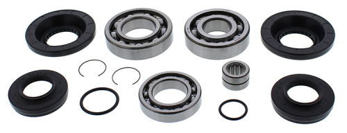 All Balls - All Balls Differential Bearing and Seal Kit - 25-2111