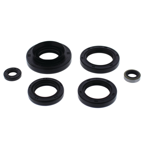Vertex - Vertex Oil Seal Kit - 822366