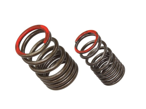 Psychic MX - Psychic MX Exhaust Valve Spring - XU-09561ES