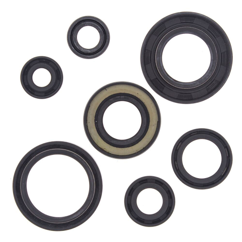 QuadBoss - QuadBoss Oil Seal Set - 822153QB
