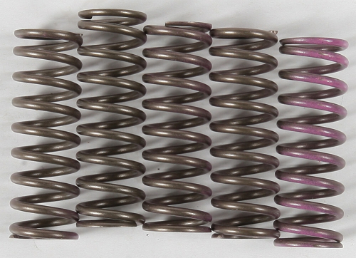Hinson Racing - Hinson Racing Hi-Temp Clutch Spring Kit - CS641-5-1901