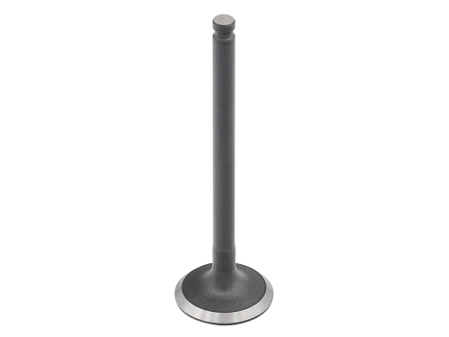 Bronco - Bronco Intake Valve - AU-09230I