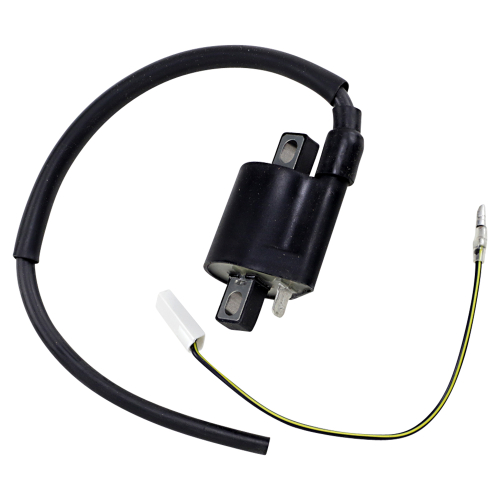 Ricks Motorsport Electric - Ricks Motorsport Electric Hot Shot Ignition Coil - 23-301
