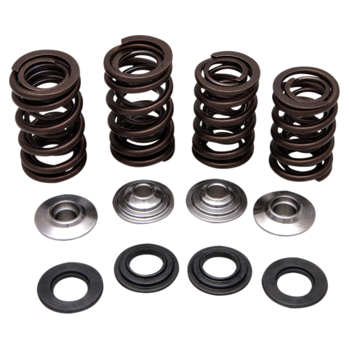 Kibblewhite Precision - Kibblewhite Precision Valve Spring Kit - 30-30920