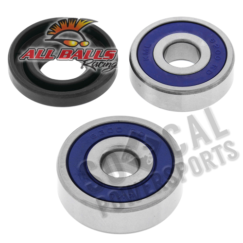 All Balls - All Balls Wheel Bearing and Seal Kit - 25-1166