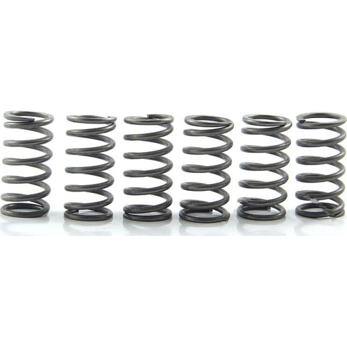 EBC - EBC CSK Clutch Spring Kit - CSK158