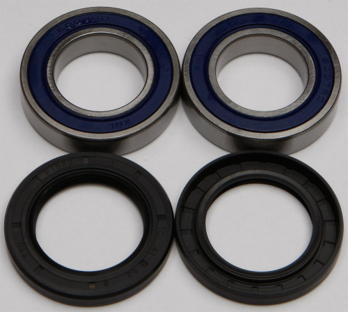 All Balls - All Balls Wheel Bearing and Seal Kit - 25-1121