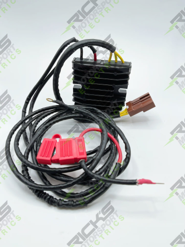 Ricks Motorsport Electric - Ricks Motorsport Electric Hot Shot Series Rectifier/Regulator - 10-040H