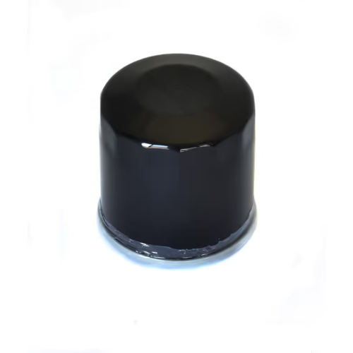 Athena - Athena Oil Filter - FFP004