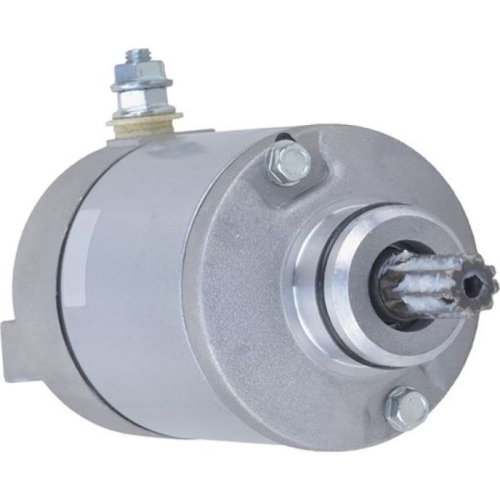 Wild Boar - Wild Boar Starter - 410-54182