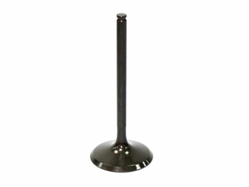 Bronco - Bronco Exhaust Valve - XU-09501E