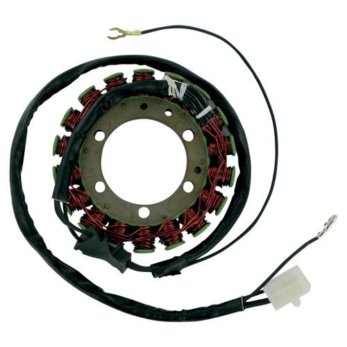 Ricks Motorsport Electric - Ricks Motorsport Electric Stator - 21-401