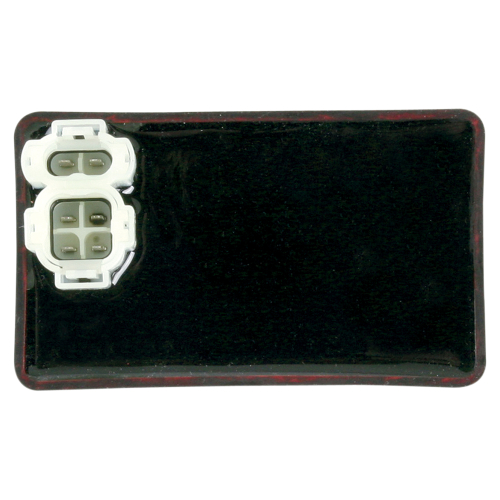 Ricks Motorsport Electric - Ricks Motorsport Electric CDI Box - 15-611