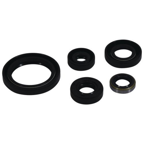 Vertex - Vertex Engine Oil Seal Kit - 822380