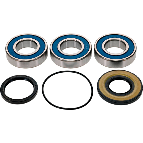 All Balls - All Balls Wheel Bearing and Seal Kit - 25-1821