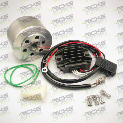 Ricks Motorsport Electric - Ricks Motorsport Electric Charging Kit - Lithium Compatible - 14-99-103