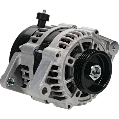 Wild Boar - Wild Boar Alternator - 400-58017