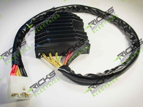 Ricks Motorsport Electric - Ricks Motorsport Electric Hot Shot Series Rectifier/Regulator - 10-421H
