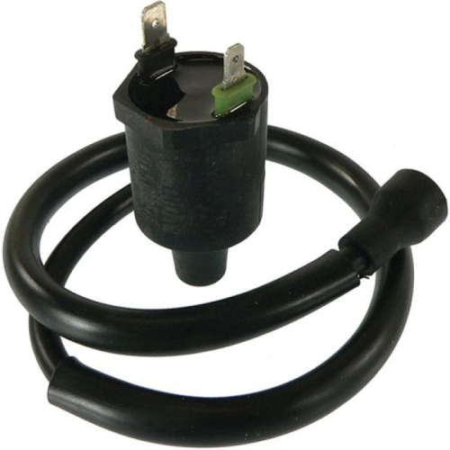 Wild Boar - Wild Boar Ignition Coil - 160-01022