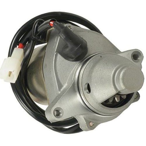 Wild Boar - Wild Boar Starter - 410-54009