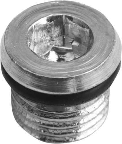 Drag Specialties - Drag Specialties Magnetic Transmission Drain Plug - 5/16in.-18 - 11-0298P