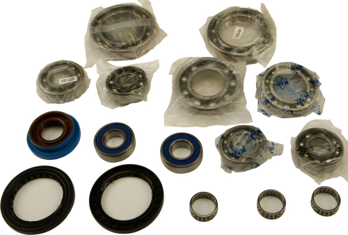 All Balls - All Balls Differential Bearing and Seal Kit - 25-2089