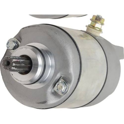 Wild Boar - Wild Boar Starter - 410-54131